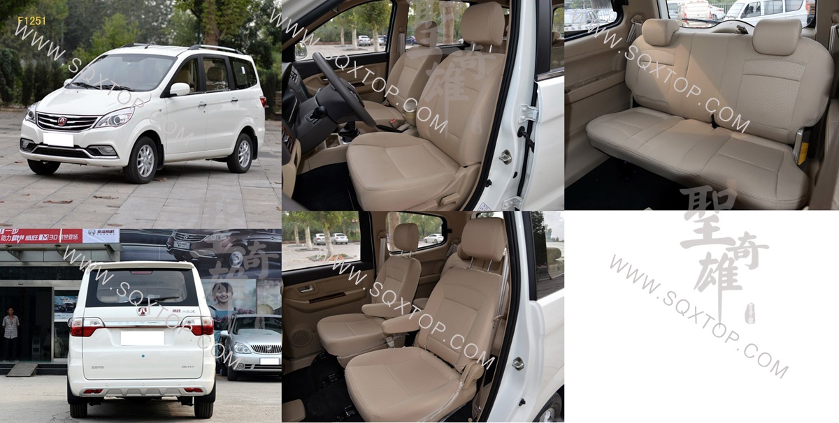 F1251北汽威旺M30.jpg