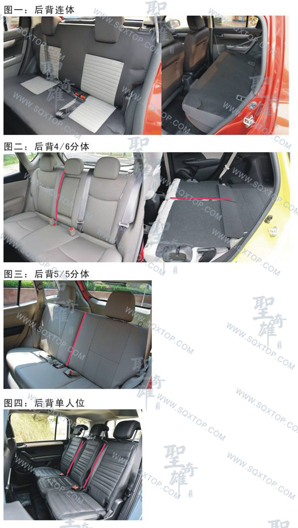 后背.jpg