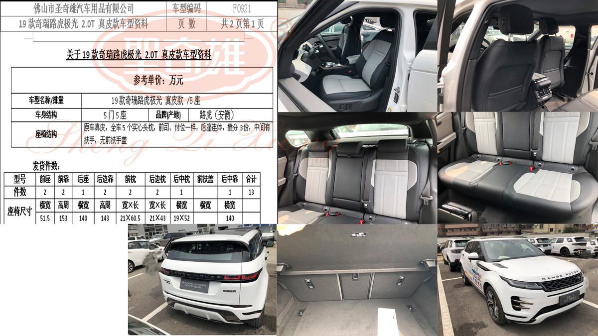 F0921 19款奇瑞路虎極光.jpg