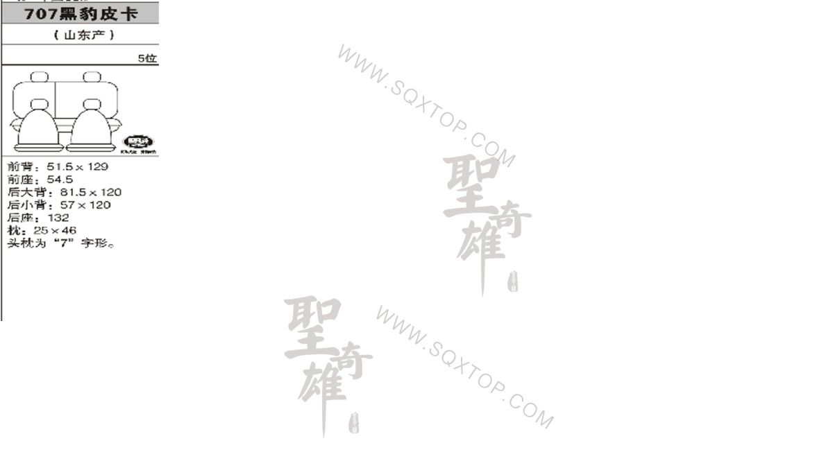 黑豹皮卡 5座 公司內(nèi)部下單編號(hào)707.jpeg