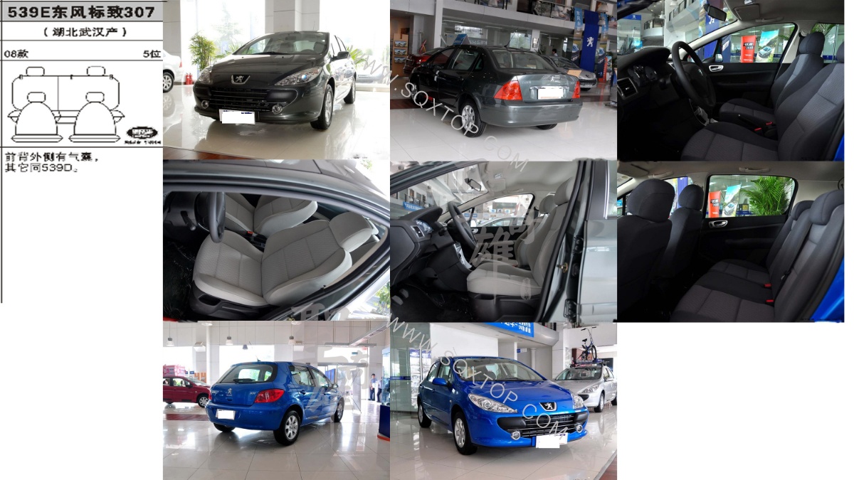 標致307 08年款5座 公司內部下單編號539E.jpeg
