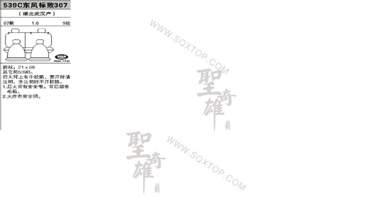標致307 07年款1.6L 5座 公司內部下單編號539C.jpeg