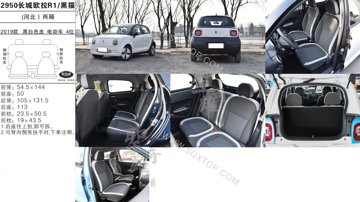 長(zhǎng)城歐拉R1 黑貓 19款 電動(dòng)車(chē) 4座 公司內(nèi)部下單編號(hào)2950.jpg