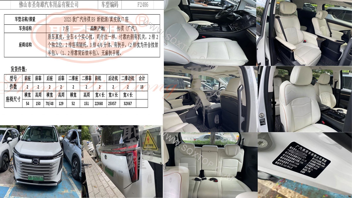F2486廣汽傳褀E9-MAX.jpg