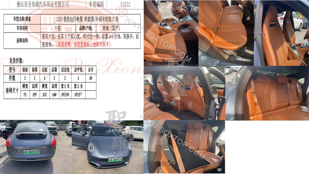 F2552-歐拉閃電貓.jpg
