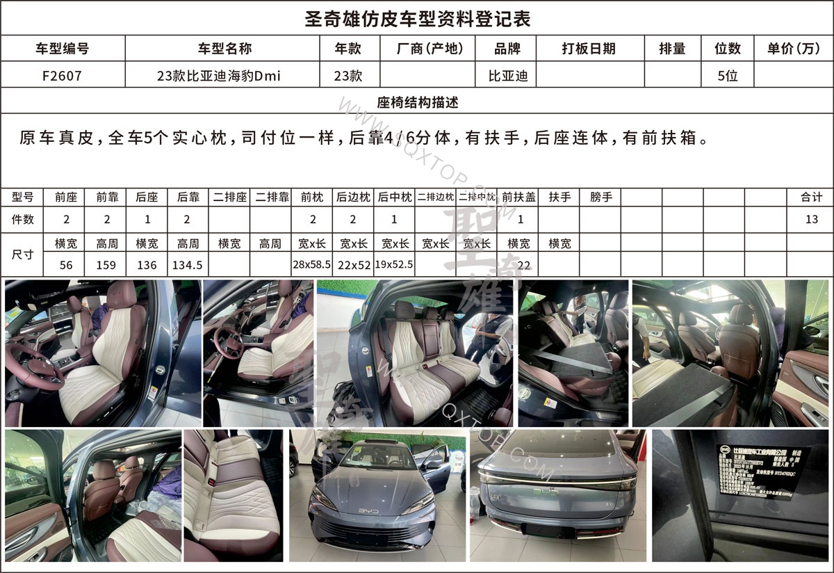 F2607比亞迪海豹DMI.jpg